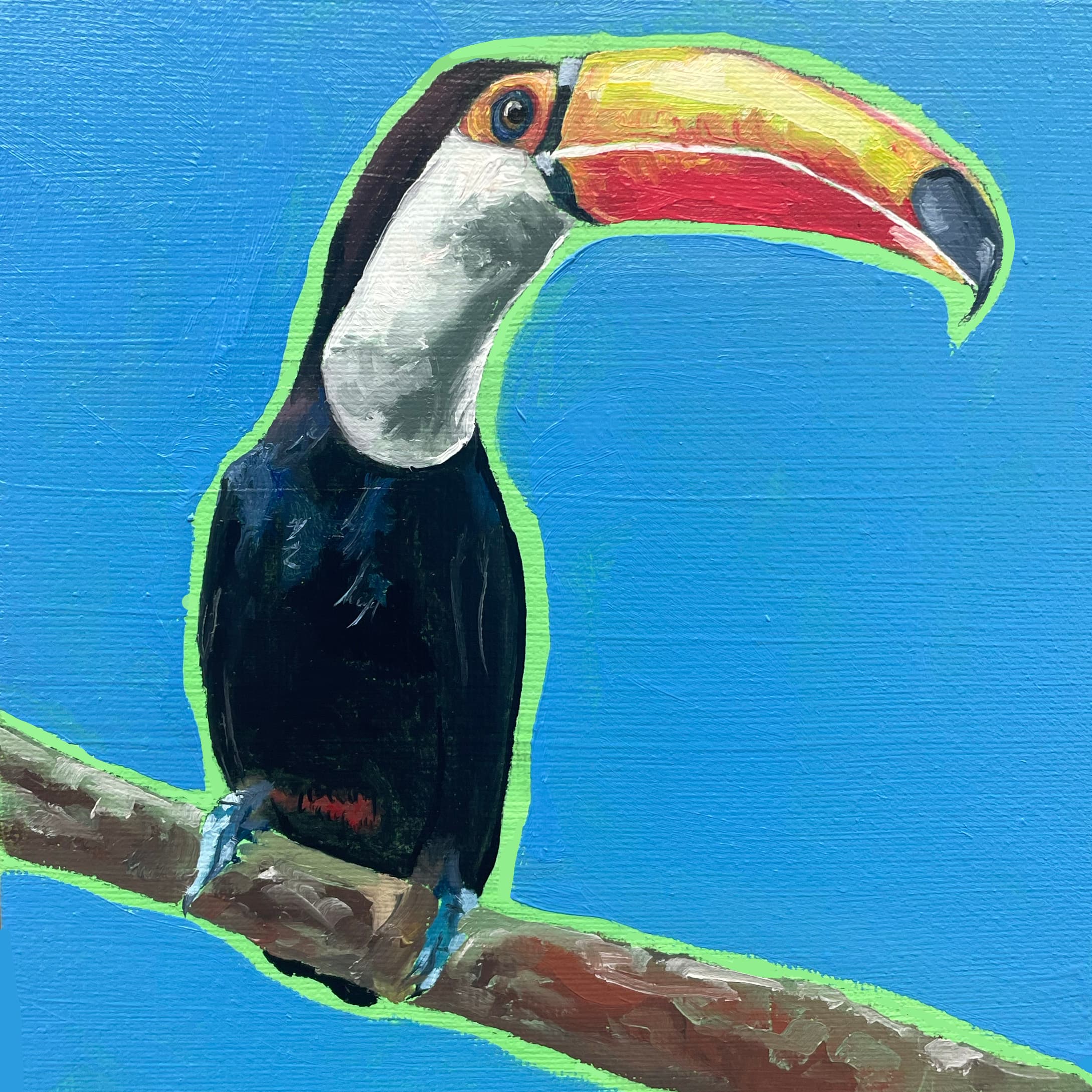 toucanp