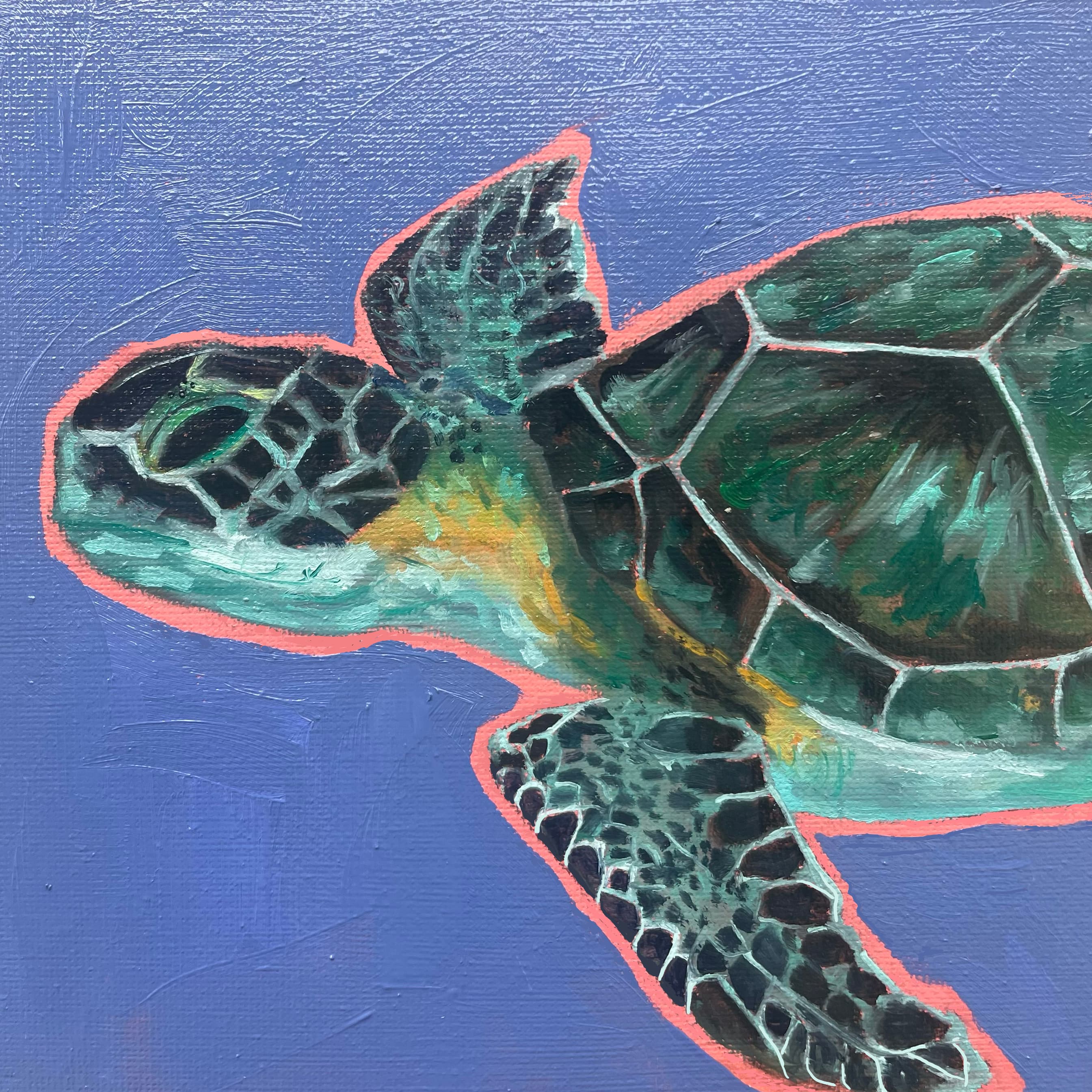 turtle