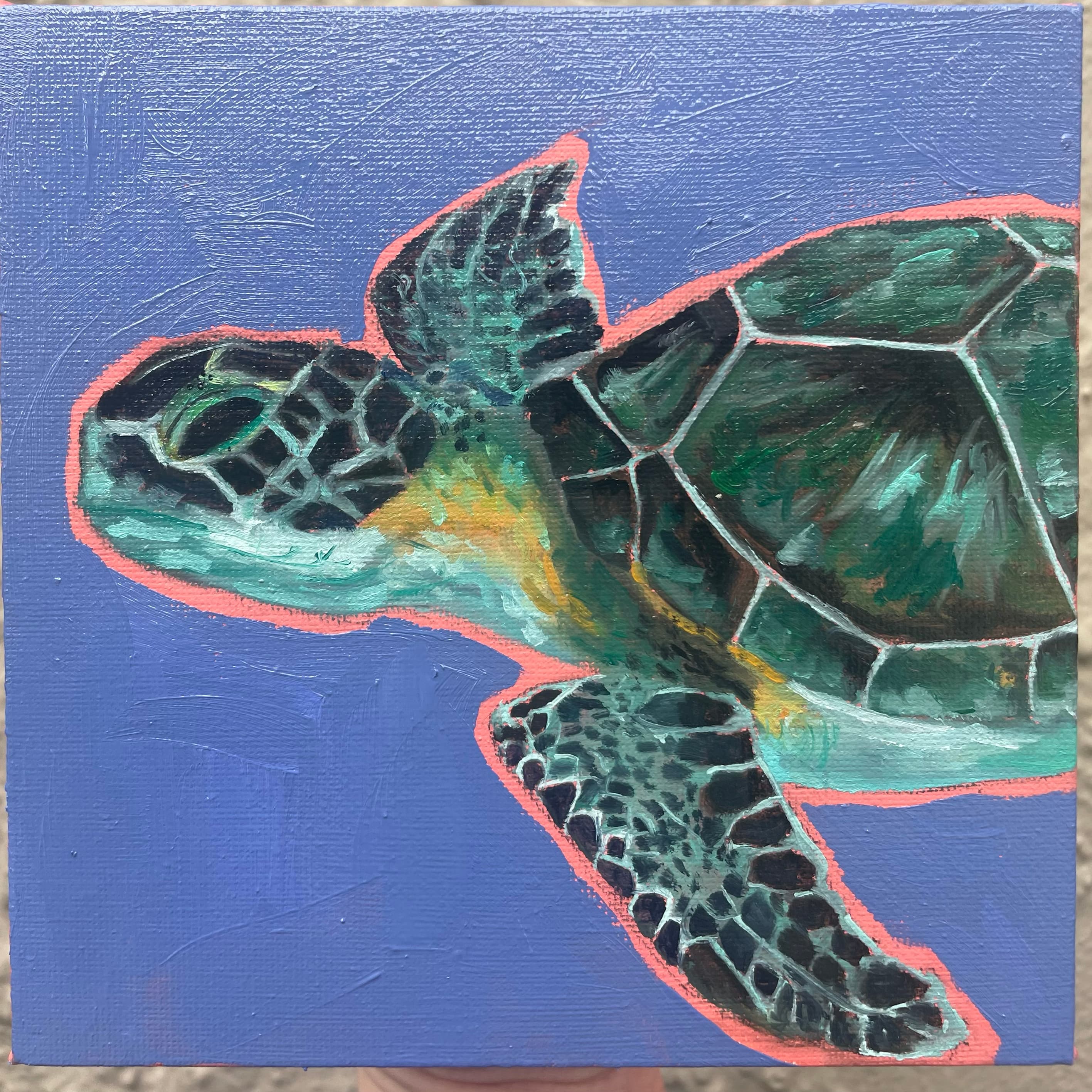 turtleo